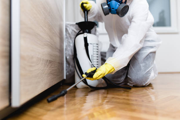 Best Pest Prevention Services  in Freeport, NY