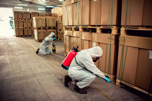 Best Wildlife Control Services  in Freeport, NY