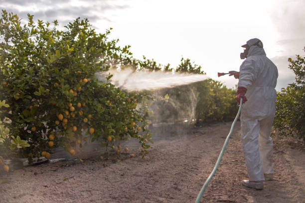 Best Pest Control Treatment  in Freeport, NY