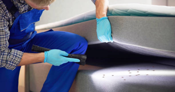 Best Mosquito Control Services  in Freeport, NY