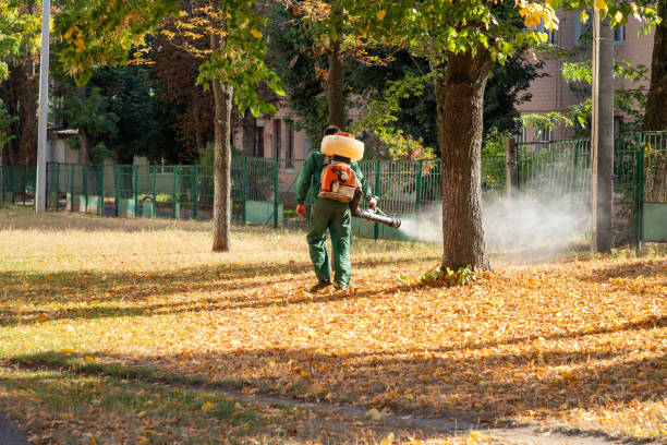 Best Residential Pest Control  in Freeport, NY